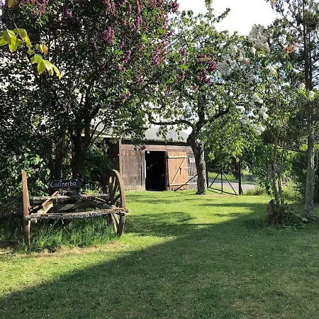 Mitten Im Garten * Lotzbeuren