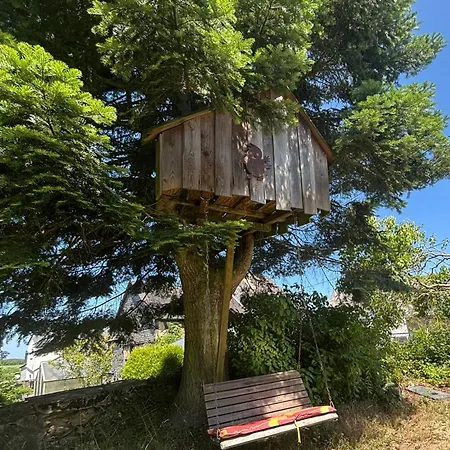 Mitten Im Garten Lotzbeuren