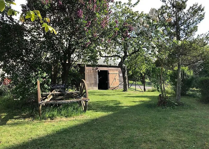 Mitten Im Garten * Lotzbeuren