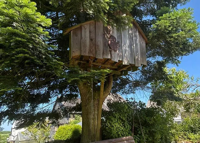 Mitten Im Garten Lotzbeuren